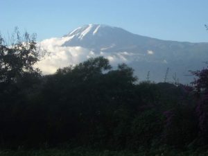 Mt Kilimanjaru